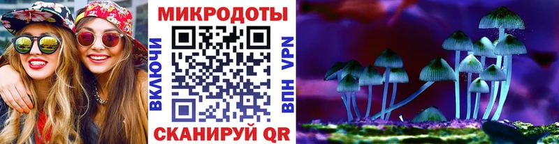 сколько стоит  Ишимбай  Псилоцибиновые грибы MAGIC MUSHROOMS 
